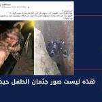 حيدر الافغاني